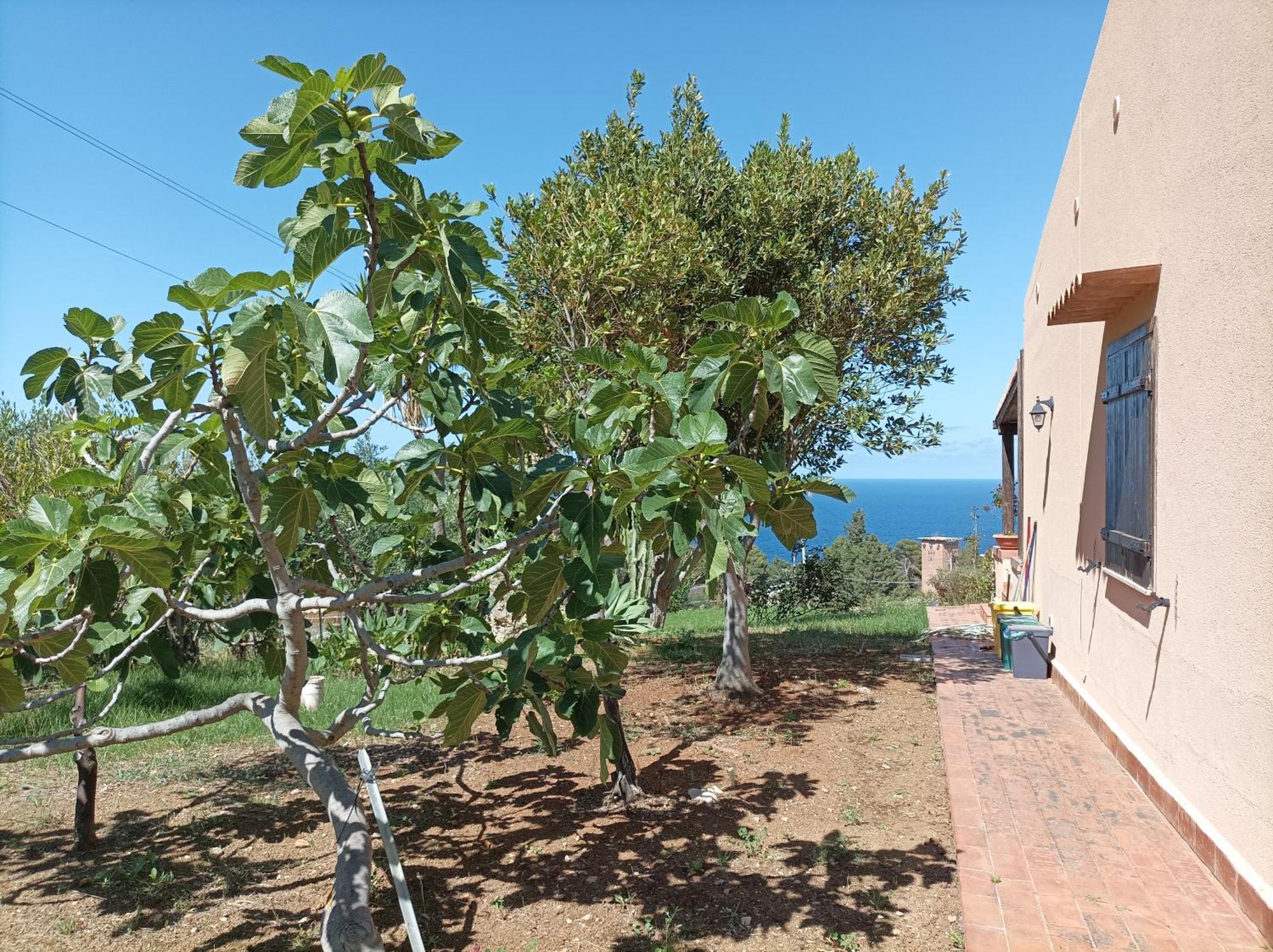 Villa La Terrazza Su Pispisa Castellammare del Golfo Exterior foto